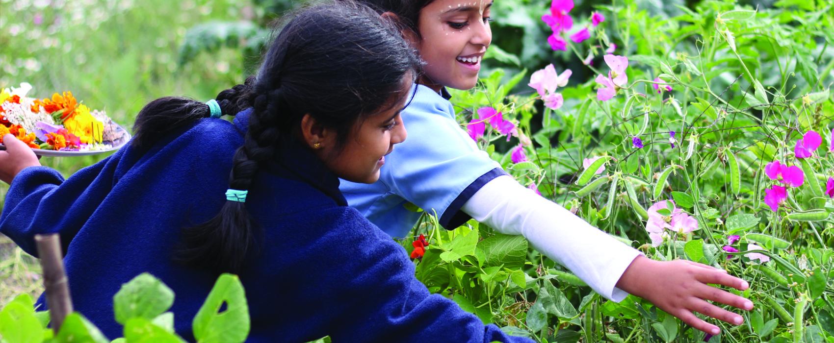 Hare Krishna School